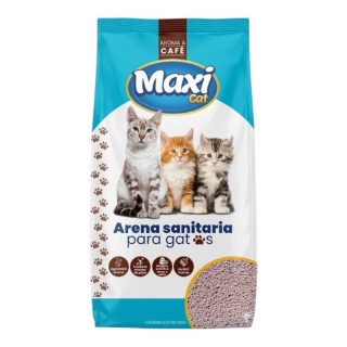 Arena MaxiCat Café