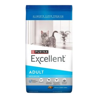 Excellent Gatos Adultos