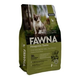 Fawna Gatitos Bebe