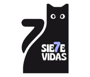 Siete Vidas