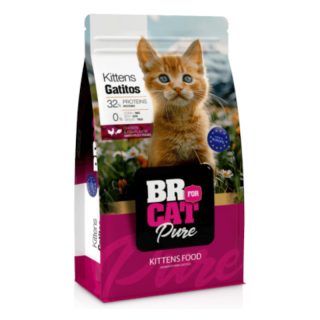 Br For Cat Gatitos Bebe Proteina de Pollo