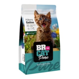 Br For Cat Gatitos Bebe Proteína de Salmon