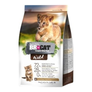 Br For Cat Wild Gatitos Bebe