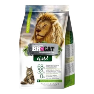 Br For Cat Wild Gatos Adultos