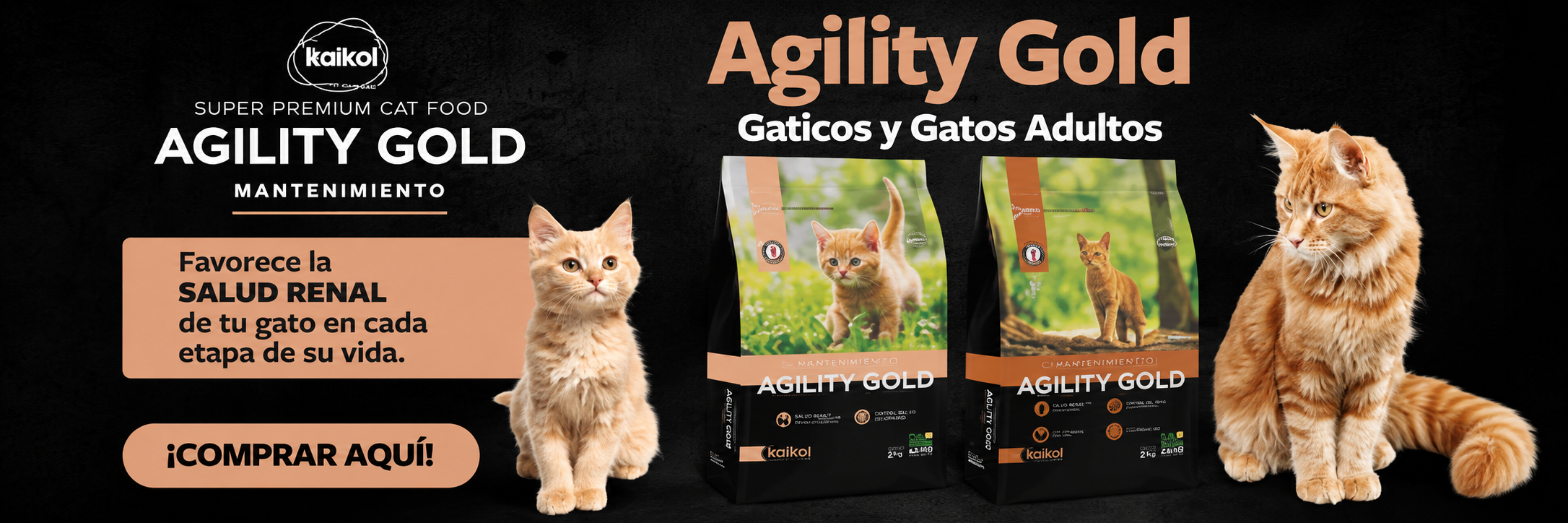 Agility gatos