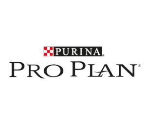 Pro Plan