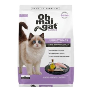 Oh Mai Gat Gatitos Bebe Inquietos y Exploradores
