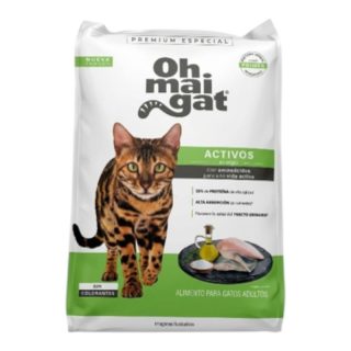 Oh Mai Gat Gatos Adultos Inquietos y Aventureros